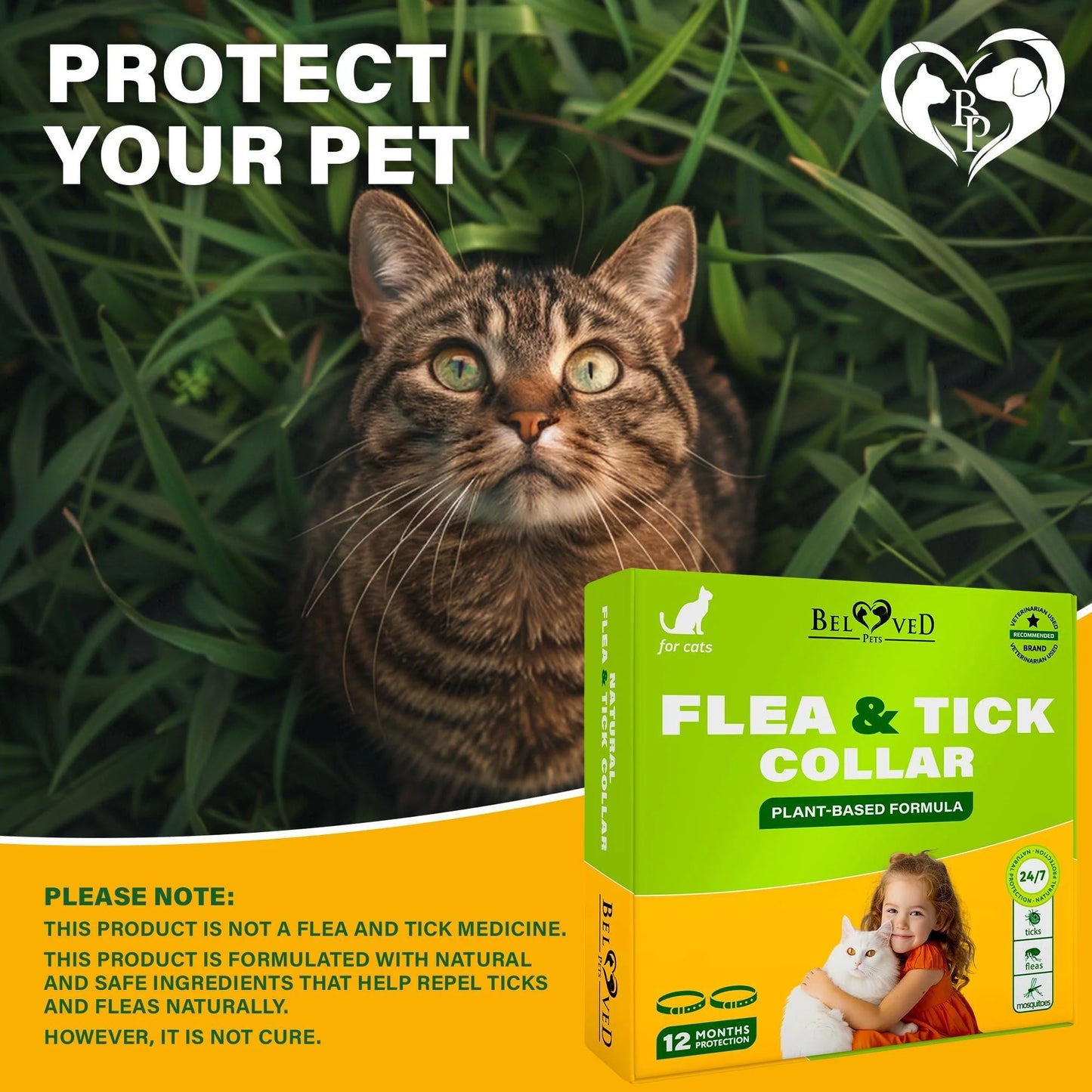 Natural Flea & Tick Collar for Cats 12 Months Control of Best Prevention & Safe Treatment anti Fleas and Ticks Essential Oil Repellent (1 Count)
