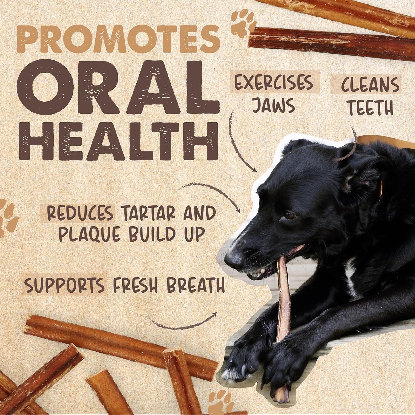 Long Lasting 12" Bully Sticks for Dogs - All Natural Grass Fed Beef Chews. Lower Odor Dog Bully Sticks for Large Dogs, Medium and Small Breeds. Single Ingredient Treats